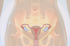 Hysteroscopy - gynaecological laparoscopic procedure