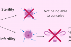 Infertility Subfertility - gynaecological procedure