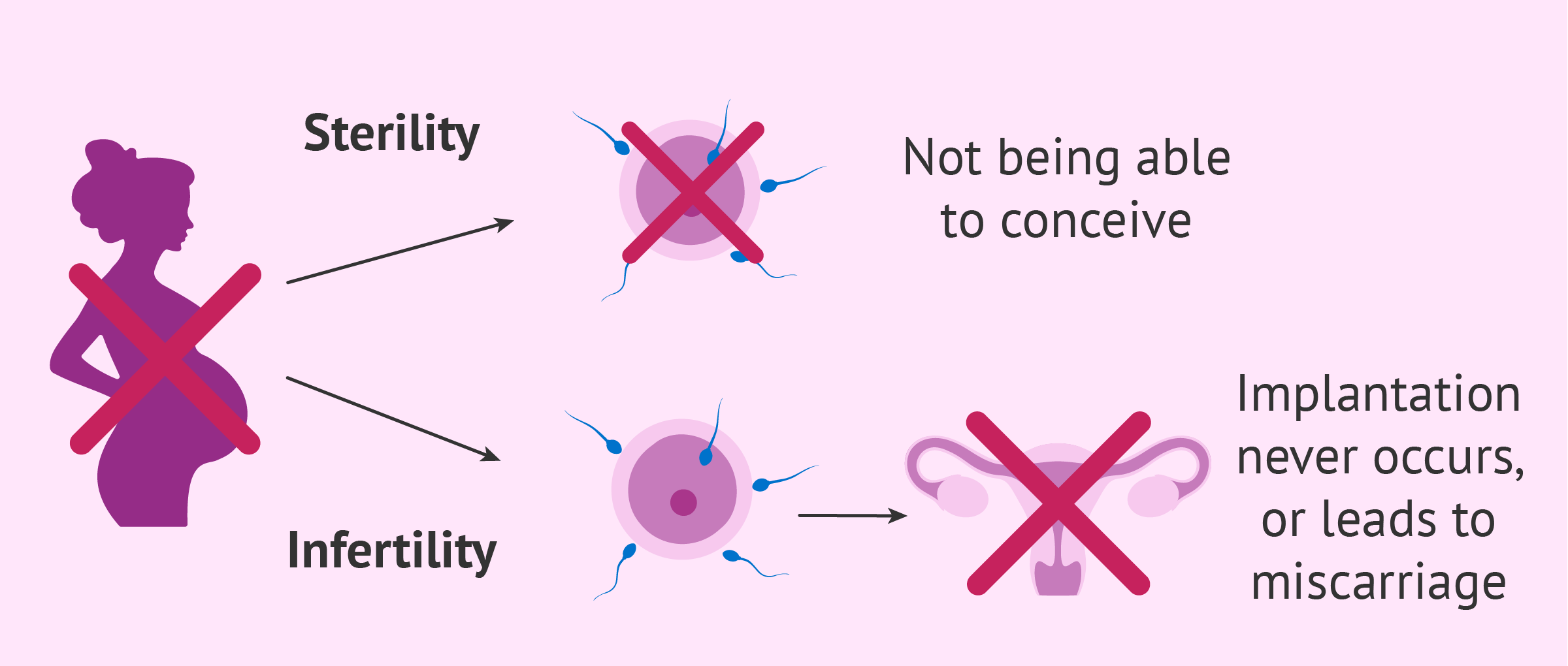 IVF Center in Pune