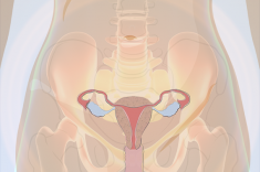 Urogynecology